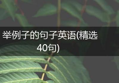 举例子的句子英语(精选40句)