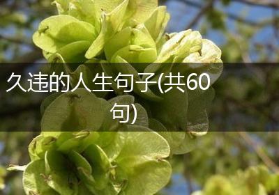 久违的人生句子(共60句)