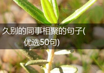 久别的同事相聚的句子(优选50句)