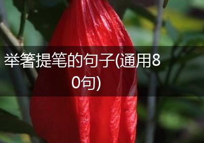 举箸提笔的句子(通用80句)