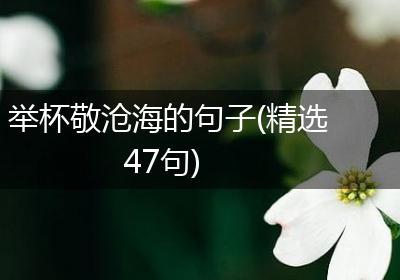 举杯敬沧海的句子(精选47句)