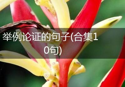 举例论证的句子(合集10句)