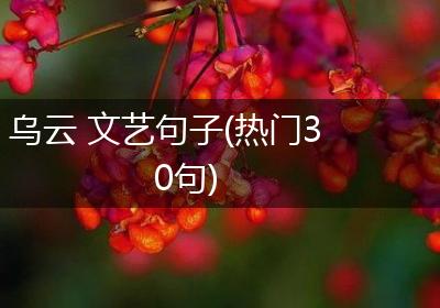 乌云 文艺句子(热门30句)