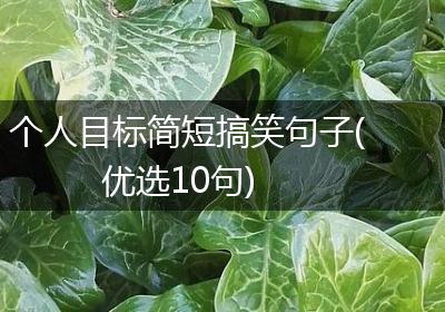 个人目标简短搞笑句子(优选10句)