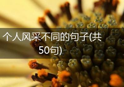 个人风采不同的句子(共50句)