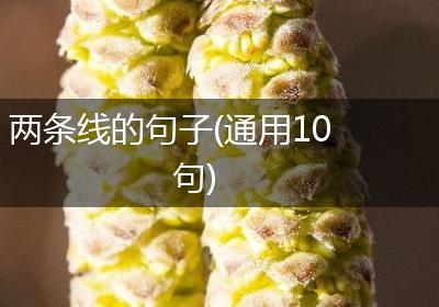 两条线的句子(通用10句)