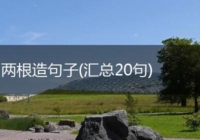 两根造句子(汇总20句)