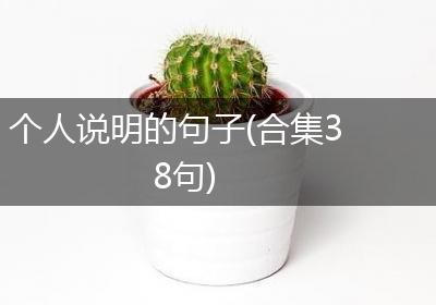 个人说明的句子(合集38句)