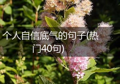个人自信底气的句子(热门40句)