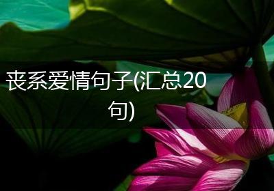 丧系爱情句子(汇总20句)