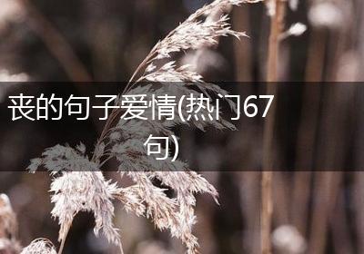 丧的句子爱情(热门67句)