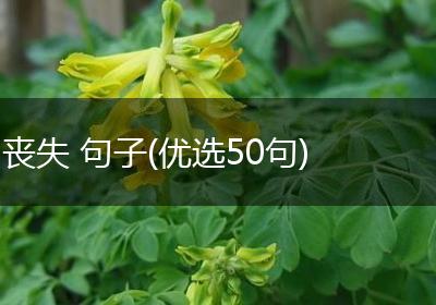 丧失 句子(优选50句)