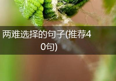两难选择的句子(推荐40句)