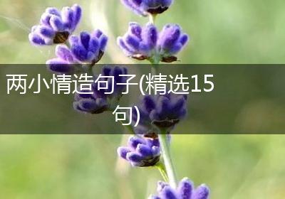 两小情造句子(精选15句)