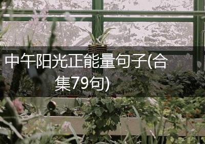 中午阳光正能量句子(合集79句)