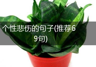 个性悲伤的句子(推荐69句)