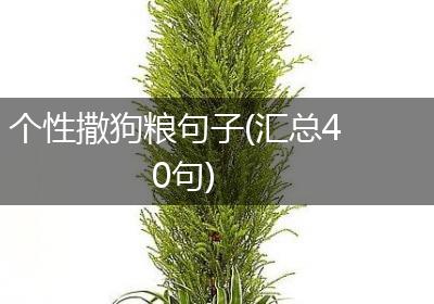 个性撒狗粮句子(汇总40句)