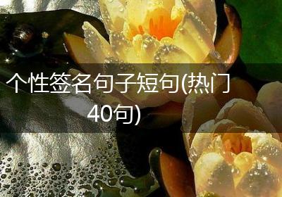 个性签名句子短句(热门40句)