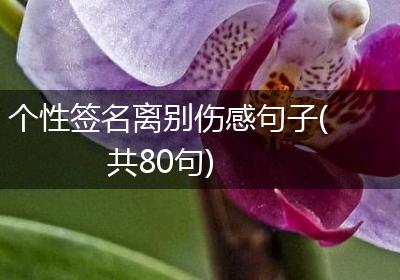 个性签名离别伤感句子(共80句)