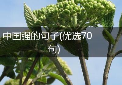 中国强的句子(优选70句)
