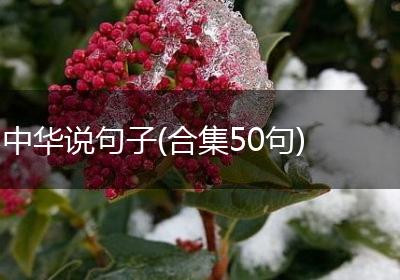 中华说句子(合集50句)