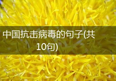 中国抗击病毒的句子(共10句)