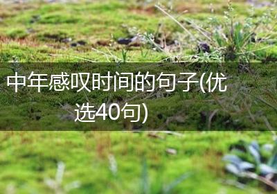 中年感叹时间的句子(优选40句)