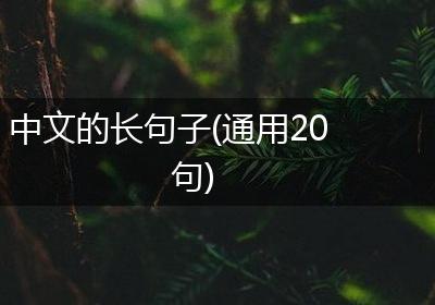 中文的长句子(通用20句)