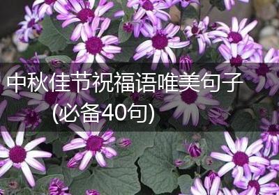 中秋佳节祝福语唯美句子(必备40句)