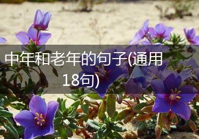 中年和老年的句子(通用18句)