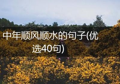 中年顺风顺水的句子(优选40句)