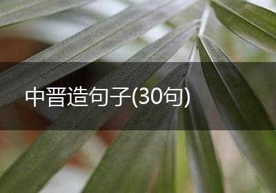 中晋造句子(30句)