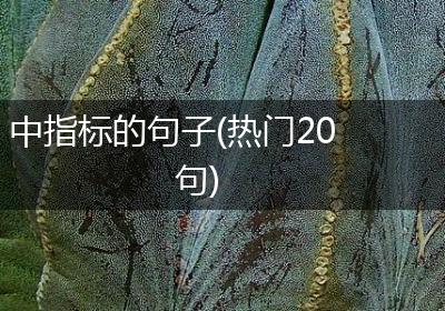 中指标的句子(热门20句)
