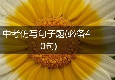 中考仿写句子题(必备40句)