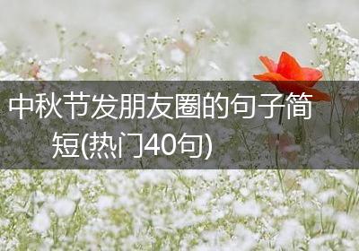 中秋节发朋友圈的句子简短(热门40句)