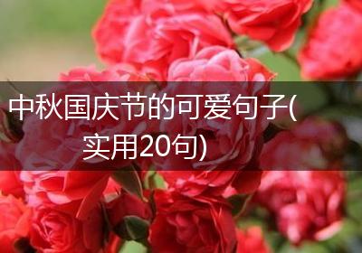 中秋国庆节的可爱句子(实用20句)