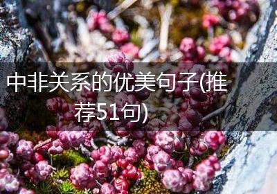 中非关系的优美句子(推荐51句)