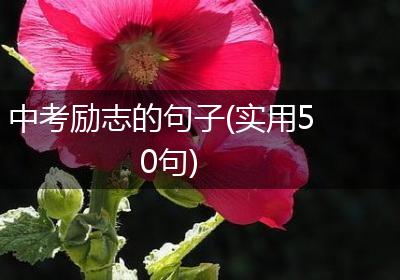 中考励志的句子(实用50句)