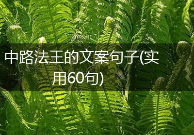 中路法王的文案句子(实用60句)