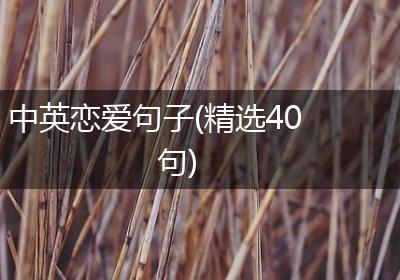中英恋爱句子(精选40句)