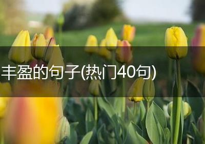 丰盈的句子(热门40句)