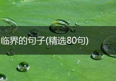 临界的句子(精选80句)