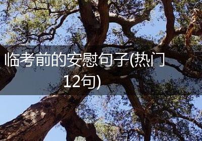 临考前的安慰句子(热门12句)