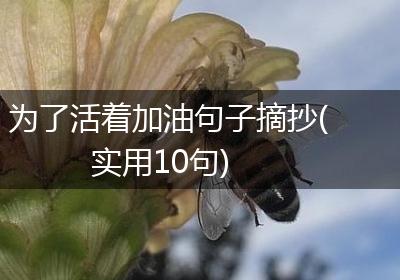 为了活着加油句子摘抄(实用10句)