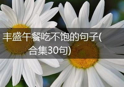 丰盛午餐吃不饱的句子(合集30句)