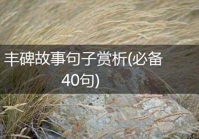 丰碑故事句子赏析(必备40句)