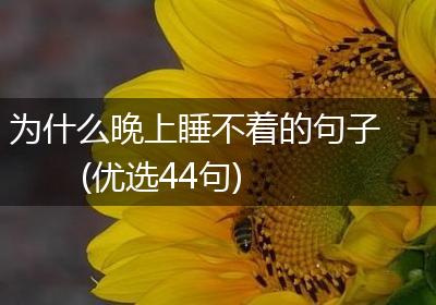 为什么晚上睡不着的句子(优选44句)