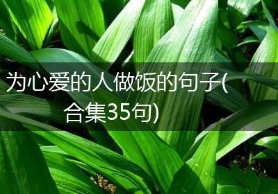 为心爱的人做饭的句子(合集35句)