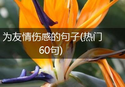 为友情伤感的句子(热门60句)