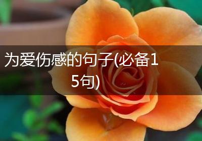 为爱伤感的句子(必备15句)